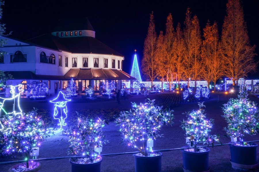 🖼️ 타월 미술관(タオルびじゅつかん) 이미지 12